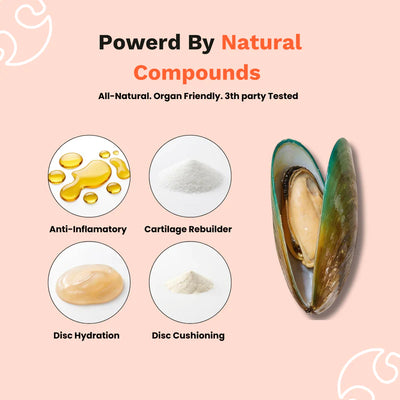 The Paw Parent - Spine & Disc Powder