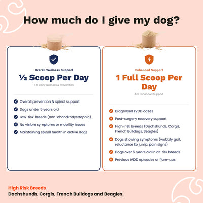 The Paw Parent - Spine & Disc Powder